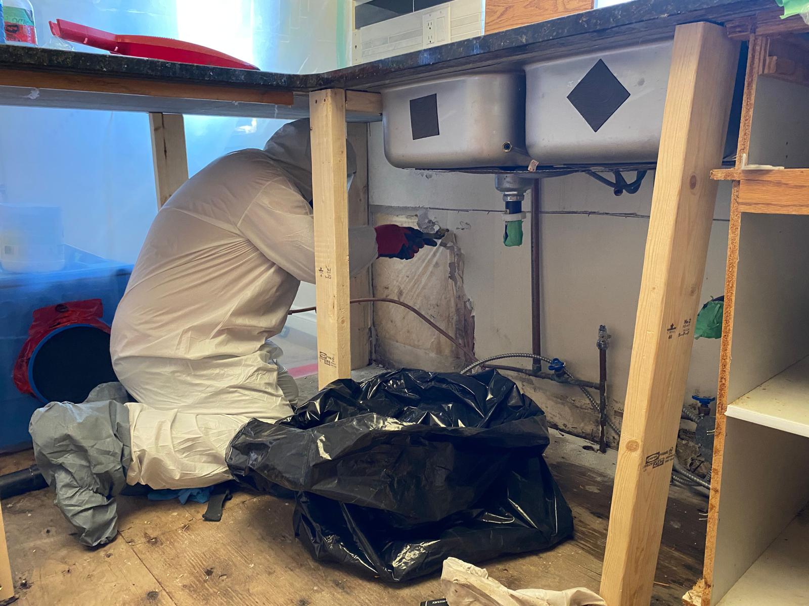 Mold Remediation